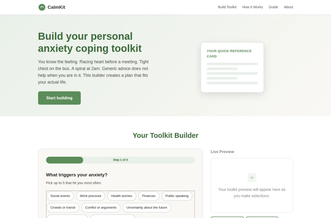 Screenshot of Anxiety Coping Toolkit Builder interface showing the project page in use